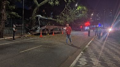 Ônibus colide com árvore e deixa 20 feridos