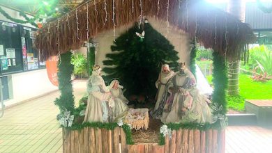 CAY inaugura presépio e Árvore de Natal