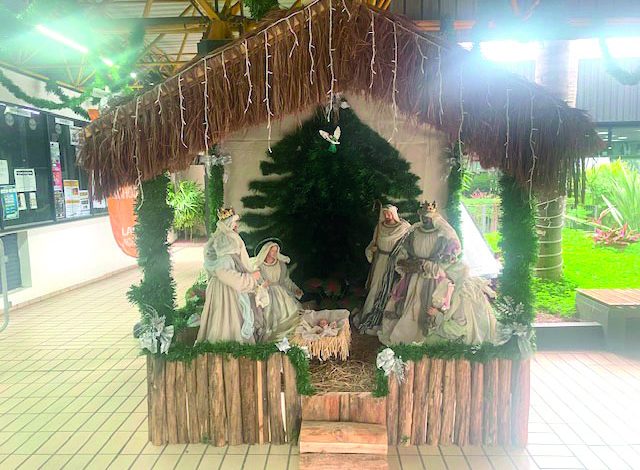 CAY inaugura presépio e Árvore de Natal