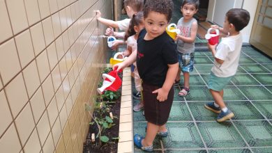 Alunos do CEI Ivette Atallah plantam mudas de tomate cereja