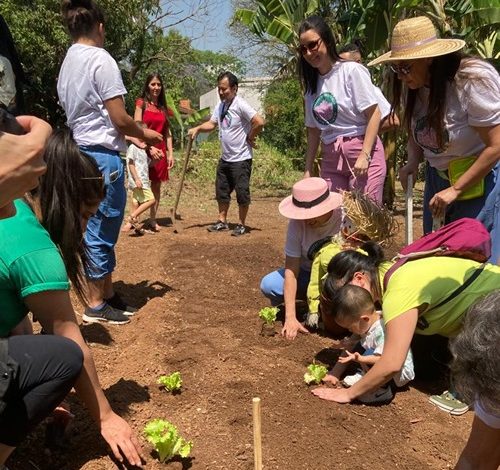 Festa da Primavera reúne moradores da Vila Mariana no Instituto Biológico