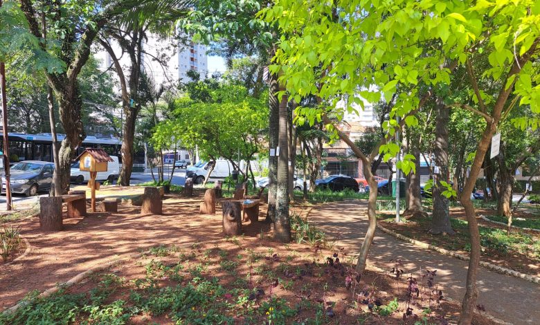 Praça na Vila Mariana incentiva a leitura e ensina sobre árvores
