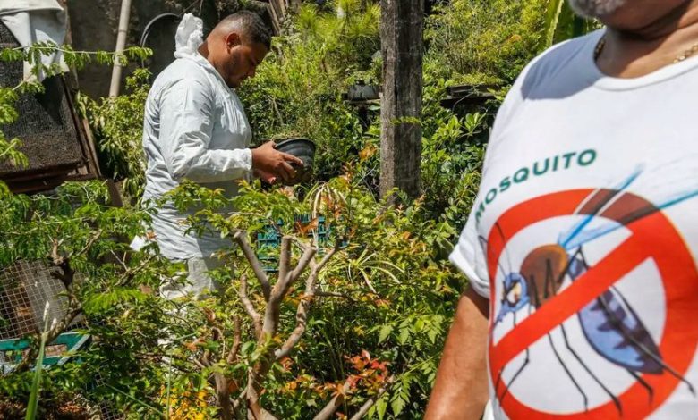 Prefeitura de SP decreta emergência por alto número de casos de dengue