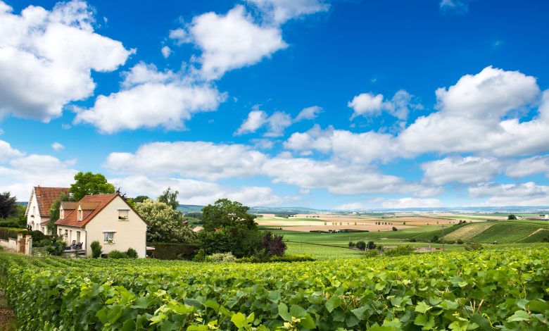 Explorando a Região de Champagne: cultura, história e belas vinícolas