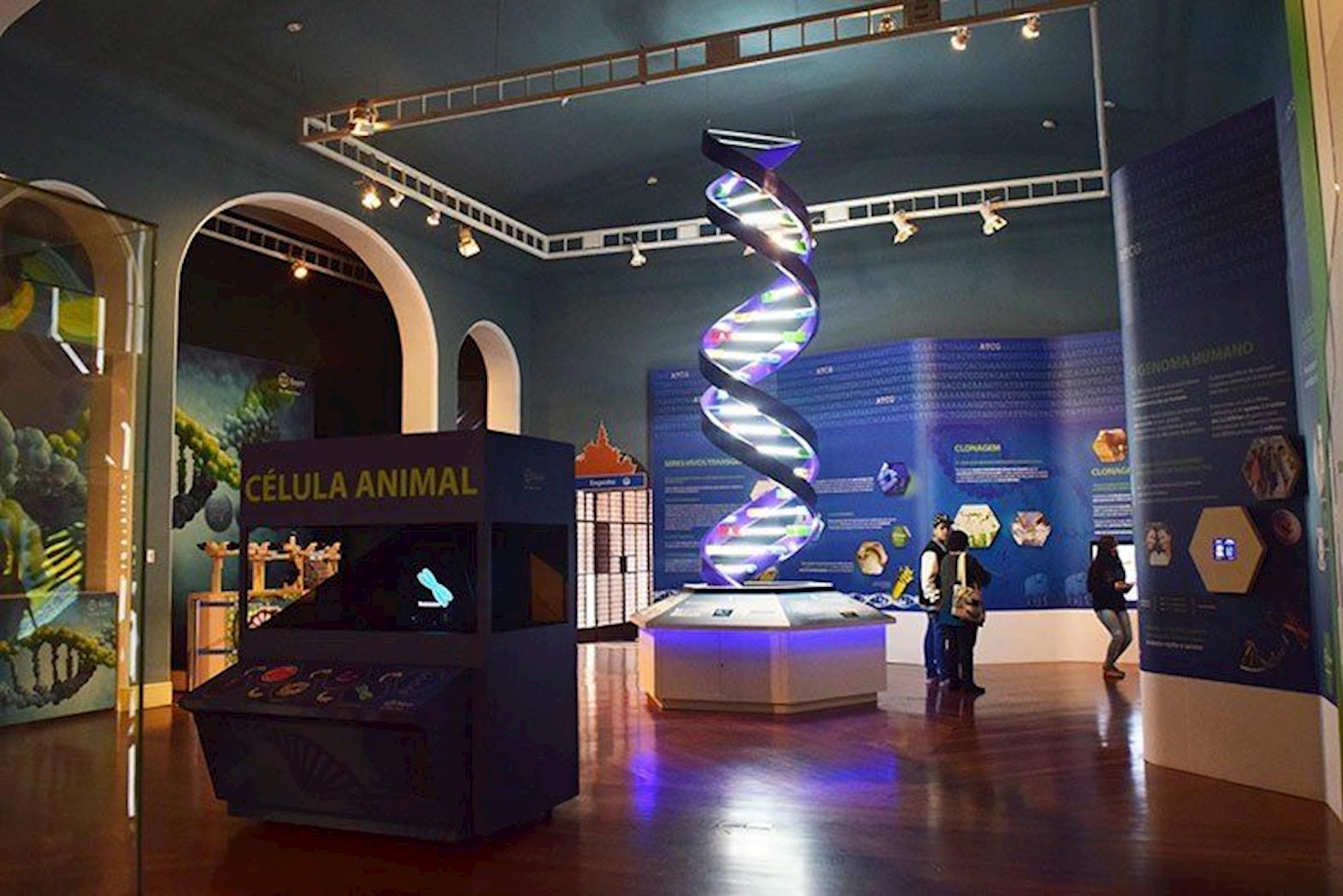 Museu Catavento: visite o lugar onde lazer e ciência se encontram –  Ipiranga News