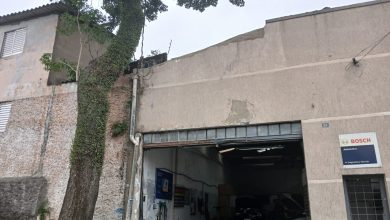 Árvore quebra muro de oficina na Honório dos Santos