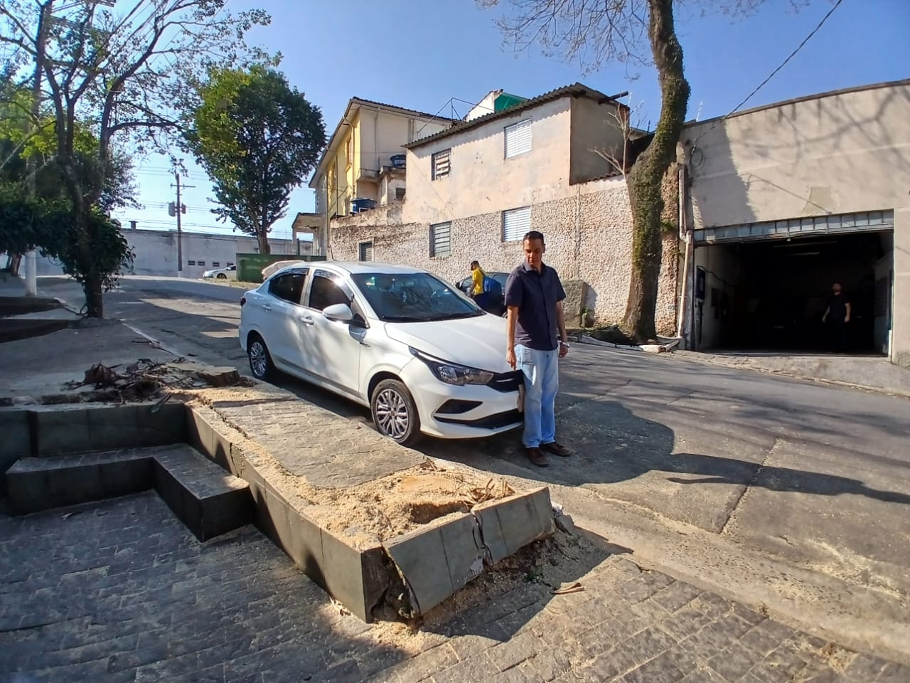 Árvores são removidas na Honório dos Santos