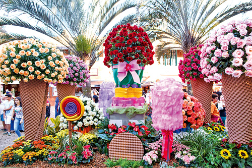 36ª Expoflora: flores e cores – Ipiranga News