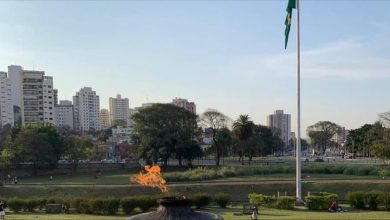 Caminhar em áreas verdes reduz obesidade