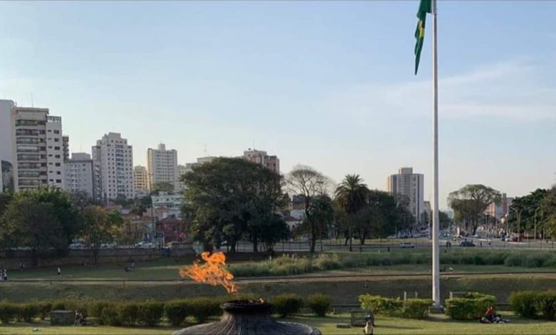 Caminhar em áreas verdes reduz obesidade