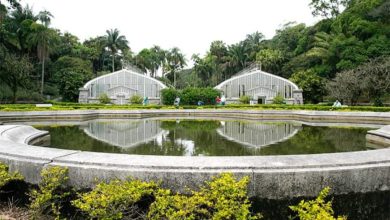 Jardim Botânico abriga nascente do riacho do Ipiranga