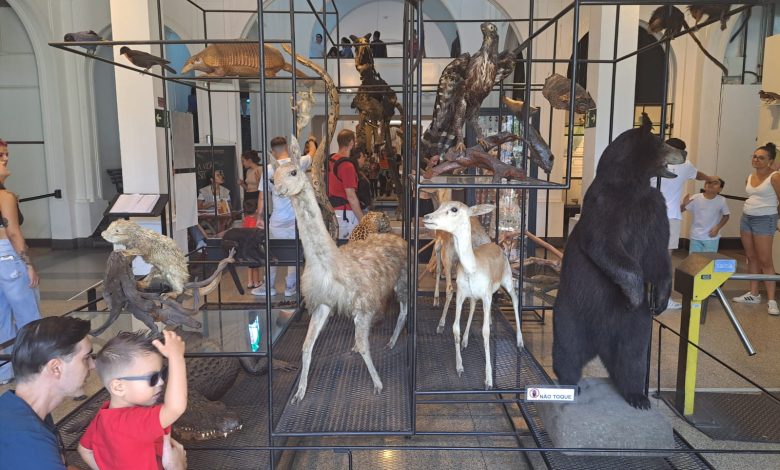 Museu de Zoologia realiza caça aos bichos para crianças