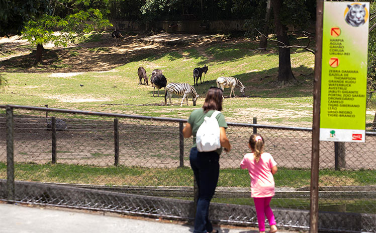 No mês de maio, mães têm entrada gratuita no Zoo São Paulo