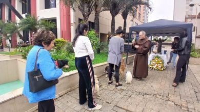 Pets são abençoados no dia de São Francisco de Assis