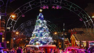 As luzes e a magia do Natal num só lugar