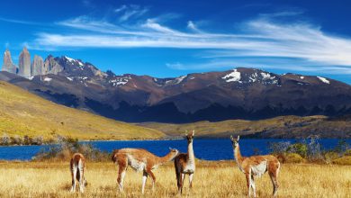 Descubra as maravilhas do Chile numa jornada inesquecível