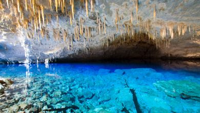 Bonito: O paraíso do ecoturismo que brilha no verão