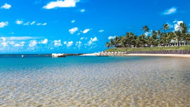 Descubra Porto de Galinhas: o paraíso pernambucano perfeito para as suas férias