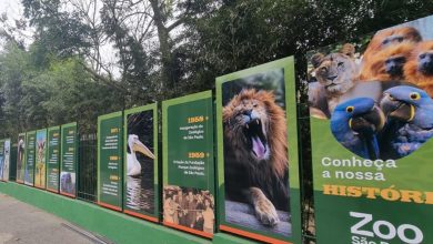 Zoológico de São Paulo melhora compra de ingresso