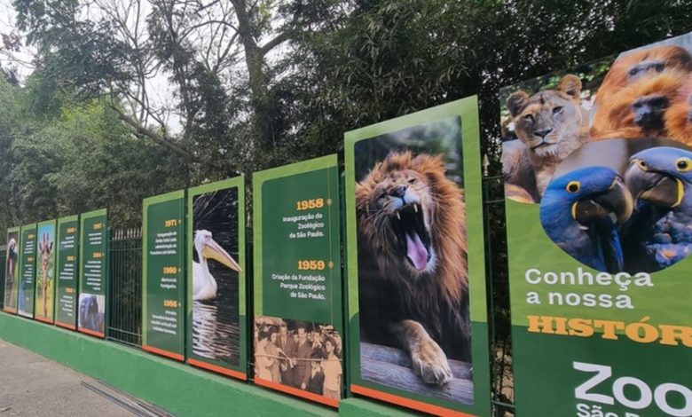 Zoológico de São Paulo melhora compra de ingresso