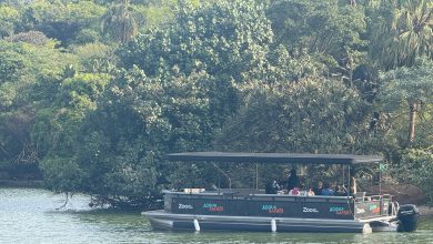 Zoológico inaugura Acqua Safári: passeio de barco pelo Lago São Francisco